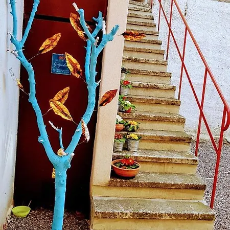 Homestay Rosa *